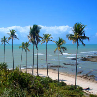 Praia Cumuru